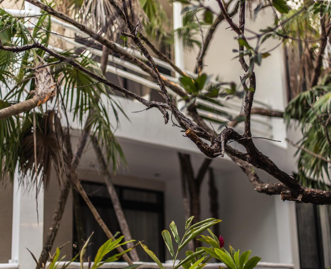 Casa Ambar Hotel & Boutique Tulum (Adults Only) Екстериор снимка